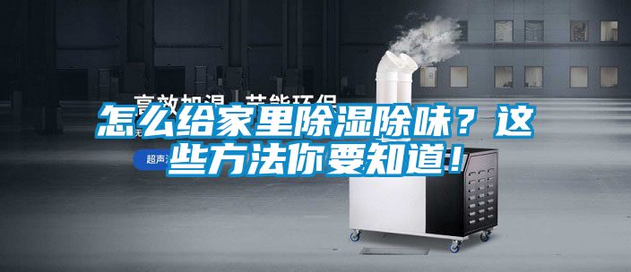怎么給家里除濕除味？這些方法你要知道！