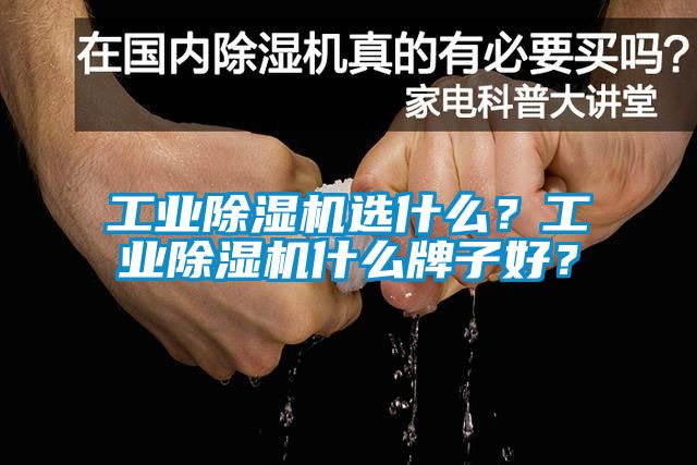 工業(yè)除濕機(jī)選什么？工業(yè)除濕機(jī)什么牌子好？