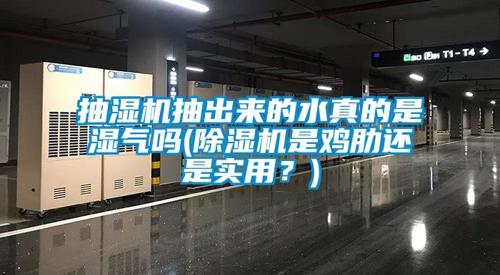 抽濕機抽出來的水真的是濕氣嗎(除濕機是雞肋還是實用？)