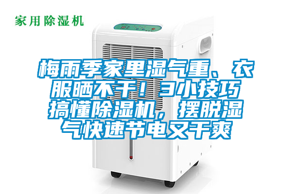 梅雨季家里濕氣重、衣服曬不干！3小技巧搞懂除濕機(jī)，擺脫濕氣快速節(jié)電又干爽