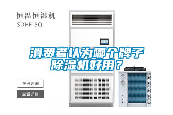 消費者認為哪個牌子除濕機好用？