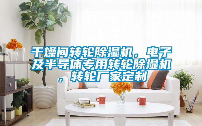 干燥間轉(zhuǎn)輪除濕機(jī)，電子及半導(dǎo)體專用轉(zhuǎn)輪除濕機(jī)，轉(zhuǎn)輪廠家定制