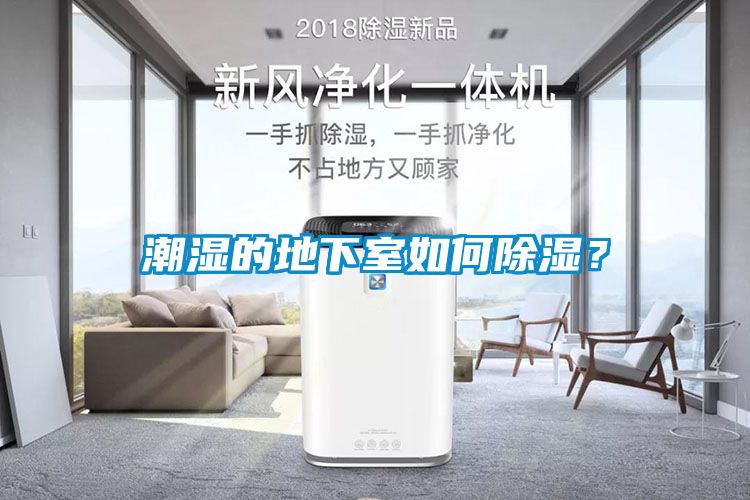 潮濕的地下室如何除濕？