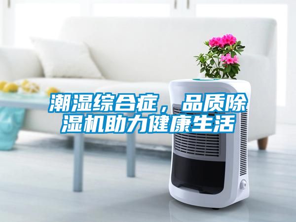 潮濕綜合癥，品質(zhì)除濕機(jī)助力健康生活