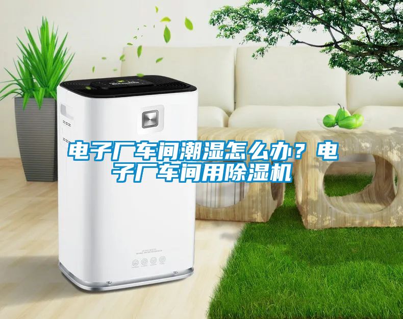 電子廠車間潮濕怎么辦？電子廠車間用除濕機(jī)