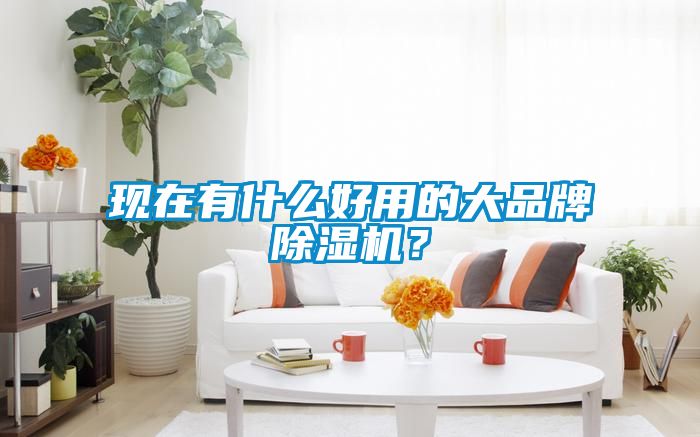 現(xiàn)在有什么好用的大品牌除濕機？