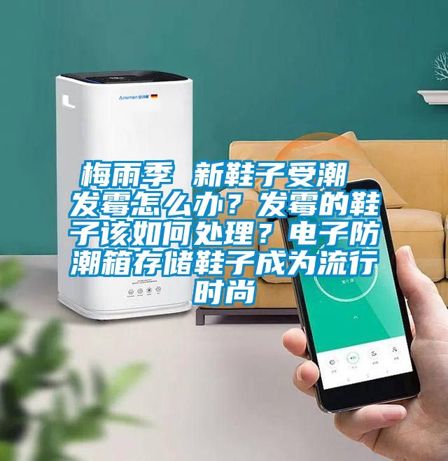 梅雨季 新鞋子受潮 發(fā)霉怎么辦？發(fā)霉的鞋子該如何處理？電子防潮箱存儲(chǔ)鞋子成為流行時(shí)尚