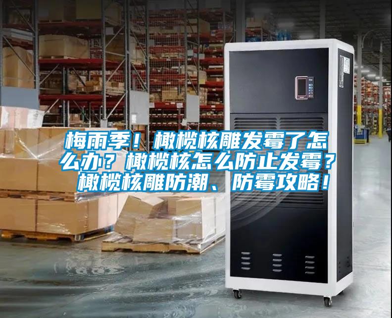 梅雨季！橄欖核雕發(fā)霉了怎么辦？橄欖核怎么防止發(fā)霉？ 橄欖核雕防潮、防霉攻略！
