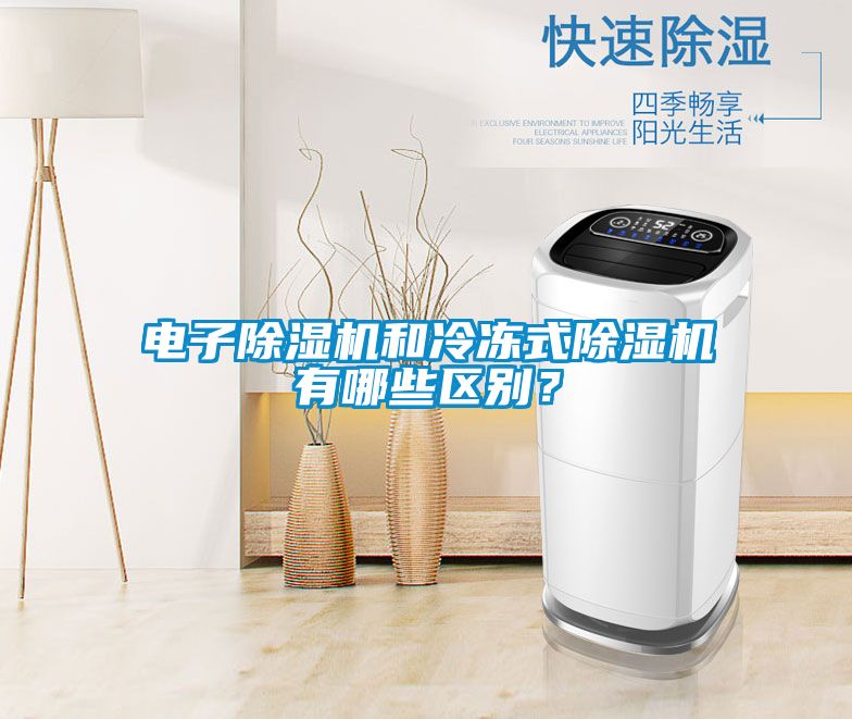 電子除濕機(jī)和冷凍式除濕機(jī)有哪些區(qū)別？