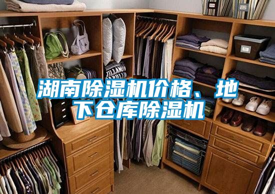 湖南除濕機(jī)價(jià)格、地下倉(cāng)庫(kù)除濕機(jī)