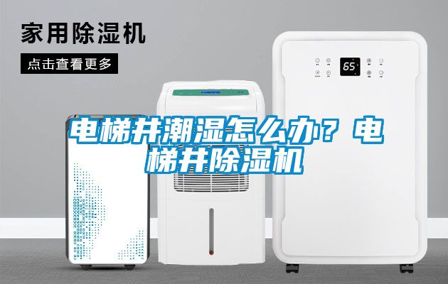 電梯井潮濕怎么辦？電梯井除濕機(jī)