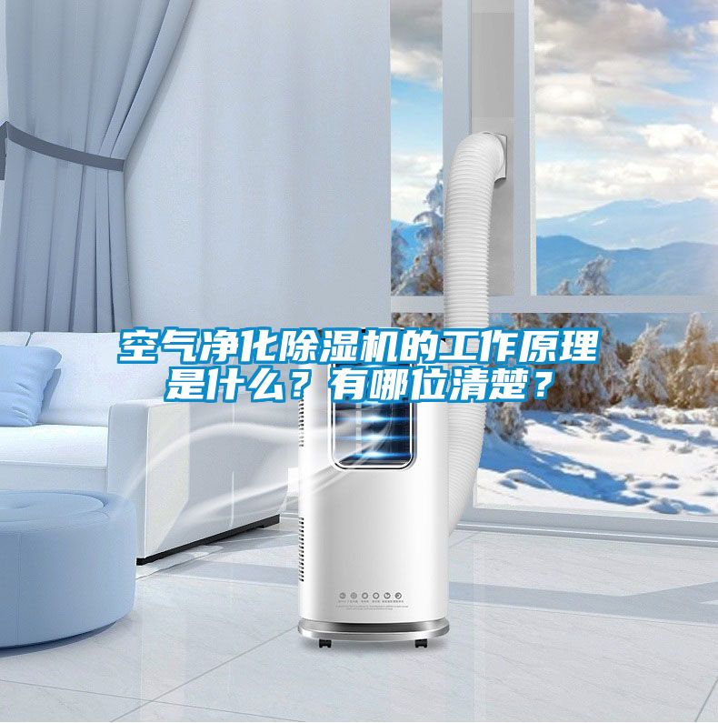 空氣凈化除濕機(jī)的工作原理是什么？有哪位清楚？