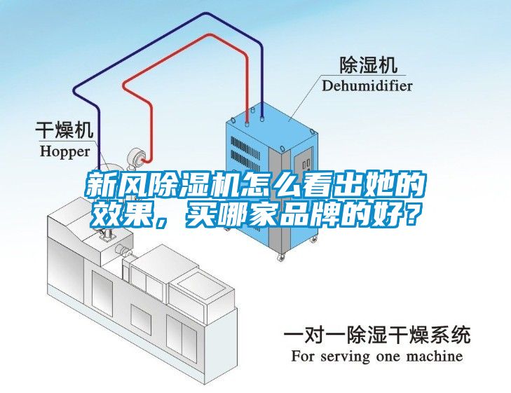 新風除濕機怎么看出她的效果，買哪家品牌的好？