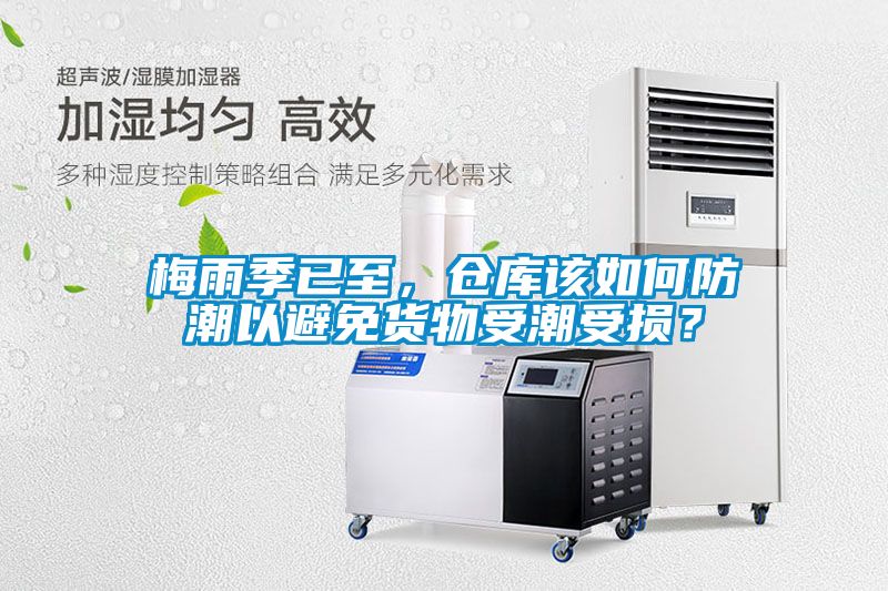 梅雨季已至，倉(cāng)庫(kù)該如何防潮以避免貨物受潮受損？