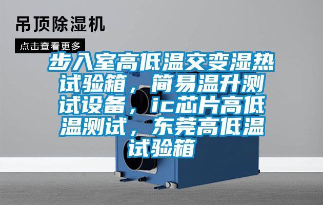 步入室高低溫交變濕熱試驗箱，簡易溫升測試設備，ic芯片高低溫測試，東莞高低溫試驗箱
