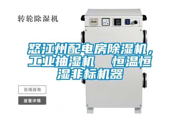 怒江州配電房除濕機(jī)，工業(yè)抽濕機(jī)  恒溫恒濕非標(biāo)機(jī)器