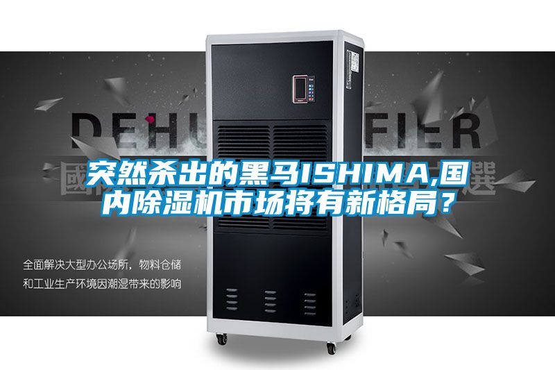 突然殺出的黑馬ISHIMA,國內除濕機市場將有新格局？