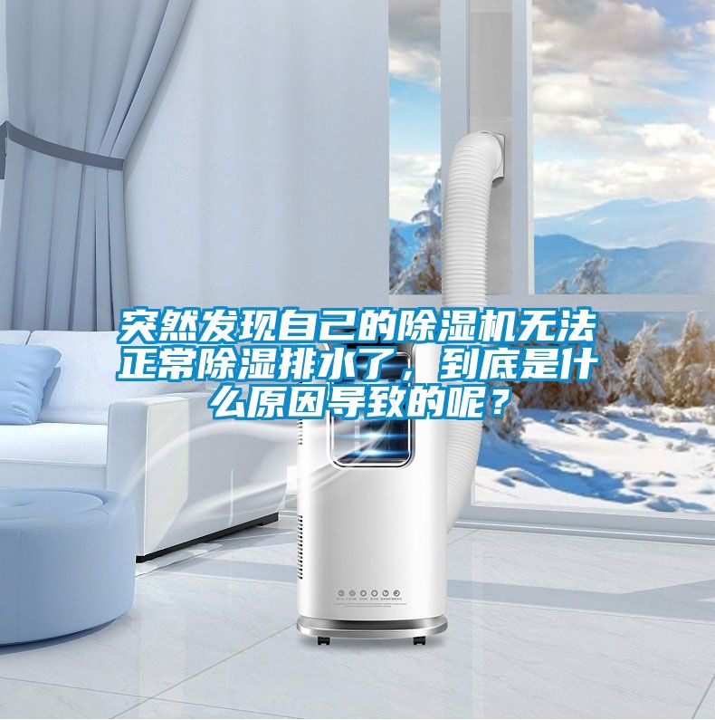 突然發(fā)現(xiàn)自己的除濕機無法正常除濕排水了，到底是什么原因?qū)е碌哪兀?/></p>
						    <p style=