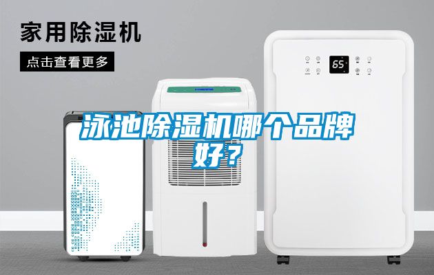 泳池除濕機哪個品牌好？