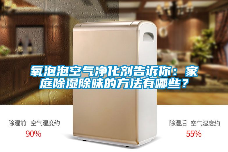 氧泡泡空氣凈化劑告訴你：家庭除濕除味的方法有哪些？