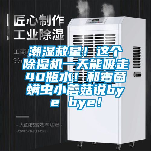 潮濕救星！這個(gè)除濕機(jī)一天能吸走40瓶水！和霉菌螨蟲(chóng)小蘑菇說(shuō)bye bye！