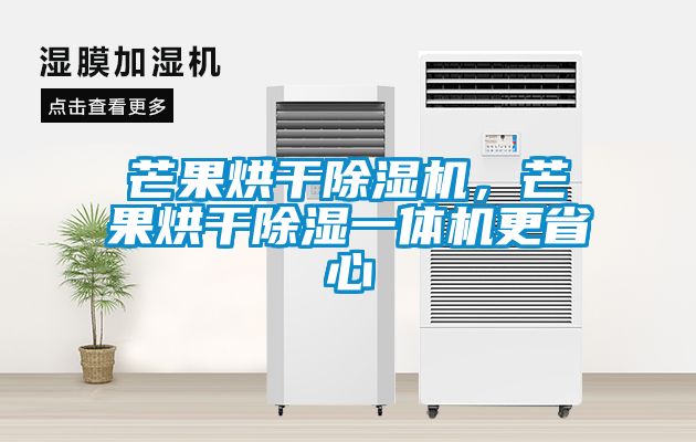 芒果烘干除濕機(jī)，芒果烘干除濕一體機(jī)更省心