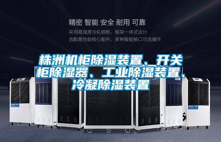 株洲機柜除濕裝置、開關(guān)柜除濕器、工業(yè)除濕裝置、冷凝除濕裝置