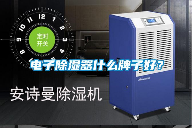 電子除濕器什么牌子好？