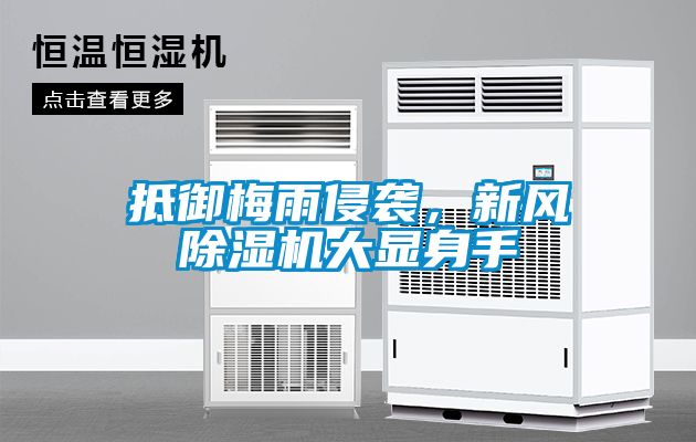 抵御梅雨侵襲，新風(fēng)除濕機大顯身手