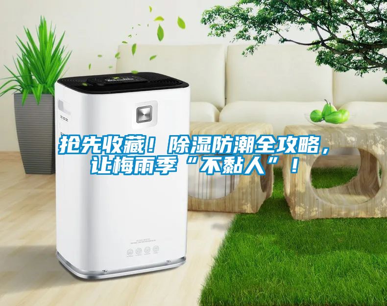 搶先收藏！除濕防潮全攻略，讓梅雨季“不黏人”！