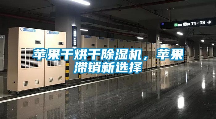 蘋(píng)果干烘干除濕機(jī)，蘋(píng)果滯銷新選擇