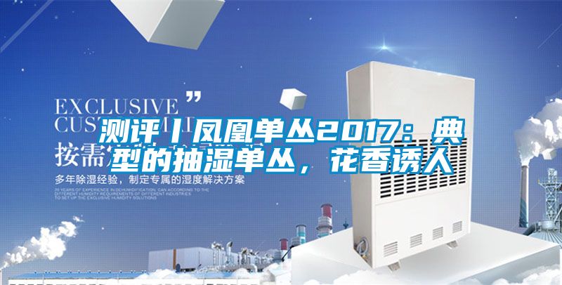 測評丨鳳凰單叢2017：典型的抽濕單叢，花香誘人