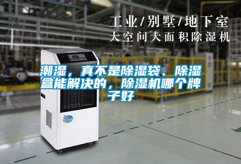 潮濕，真不是除濕袋、除濕盒能解決的，除濕機哪個牌子好