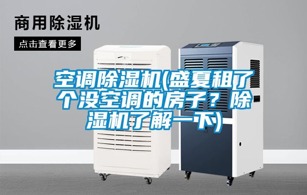 空調(diào)除濕機(jī)(盛夏租了個(gè)沒(méi)空調(diào)的房子？除濕機(jī)了解一下)