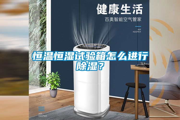 恒溫恒濕試驗(yàn)箱怎么進(jìn)行除濕？
