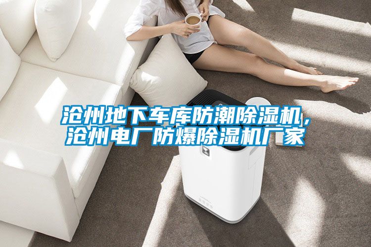 滄州地下車庫(kù)防潮除濕機(jī)，滄州電廠防爆除濕機(jī)廠家