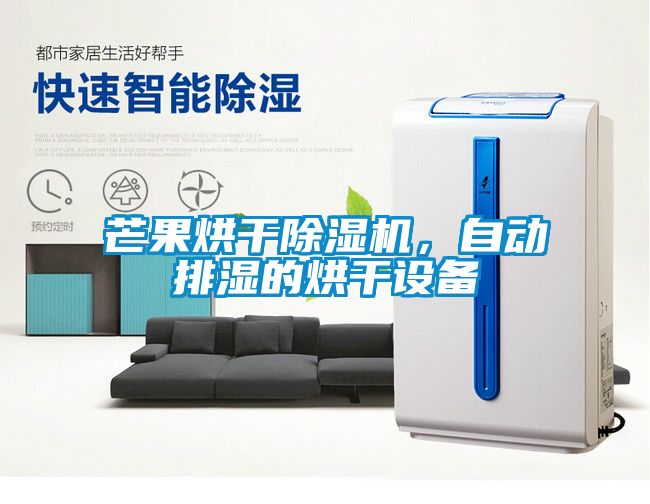 芒果烘干除濕機，自動排濕的烘干設(shè)備