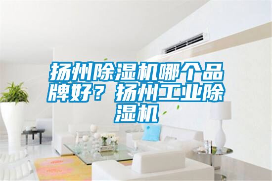 揚(yáng)州除濕機(jī)哪個(gè)品牌好？揚(yáng)州工業(yè)除濕機(jī)