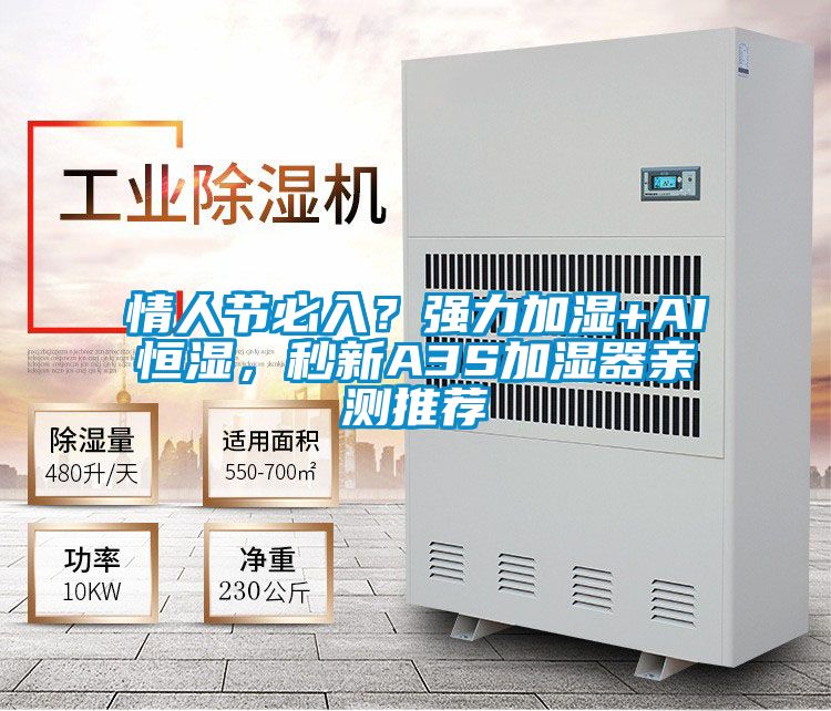 情人節(jié)必入？強(qiáng)力加濕+AI恒濕，秒新A3S加濕器親測(cè)推薦