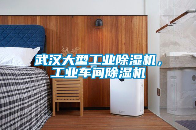 武漢大型工業(yè)除濕機(jī)，工業(yè)車(chē)間除濕機(jī)