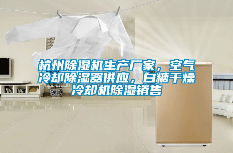 杭州除濕機(jī)生產(chǎn)廠家，空氣冷卻除濕器供應(yīng)，白糖干燥冷卻機(jī)除濕銷售