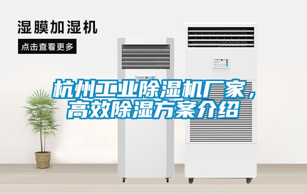 杭州工業(yè)除濕機(jī)廠家，高效除濕方案介紹