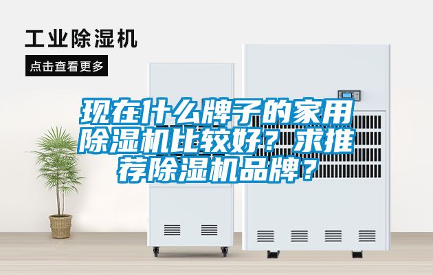 現(xiàn)在什么牌子的家用除濕機比較好？求推薦除濕機品牌？