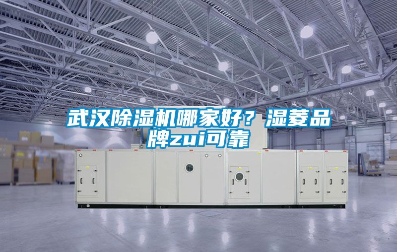 武漢除濕機(jī)哪家好？濕菱品牌zui可靠