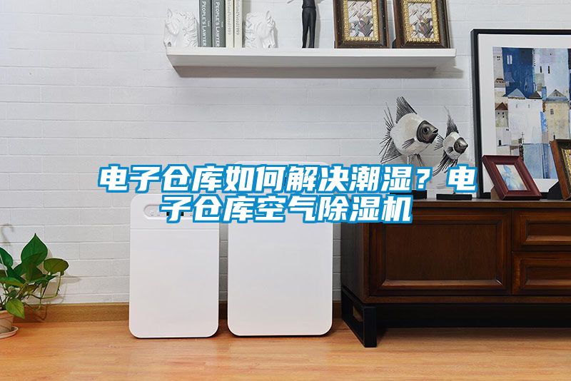 電子倉庫如何解決潮濕？電子倉庫空氣除濕機