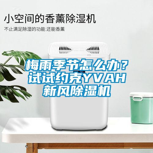 梅雨季節(jié)怎么辦？試試約克YVAH新風(fēng)除濕機(jī)