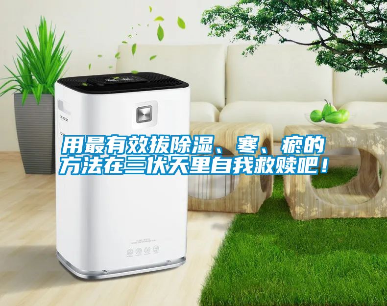 用最有效拔除濕、寒、瘀的方法在三伏天里自我救贖吧！