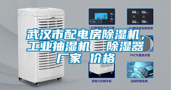 武漢市配電房除濕機(jī)，工業(yè)抽濕機(jī)  除濕器廠家 價(jià)格