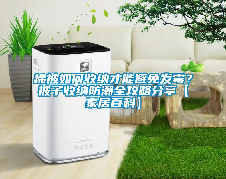 棉被如何收納才能避免發(fā)霉？被子收納防潮全攻略分享【家居百科】