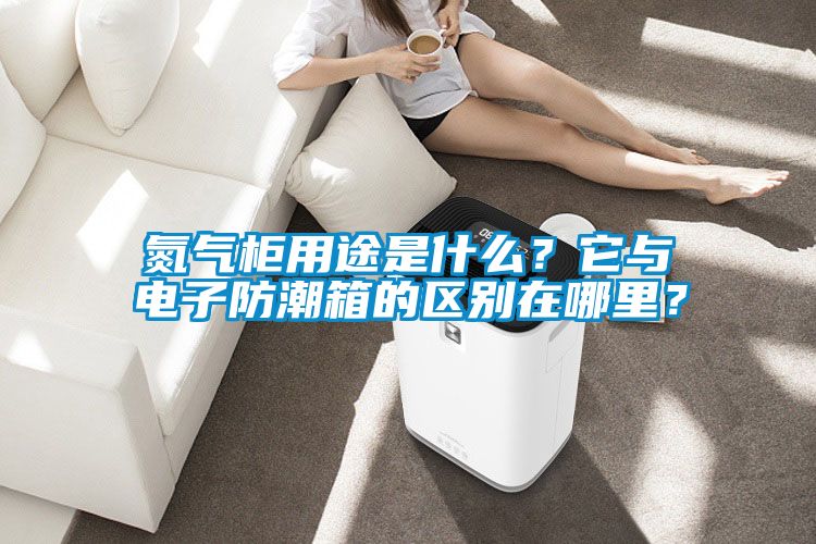 氮?dú)夤裼猛臼鞘裁?？它與電子防潮箱的區(qū)別在哪里？